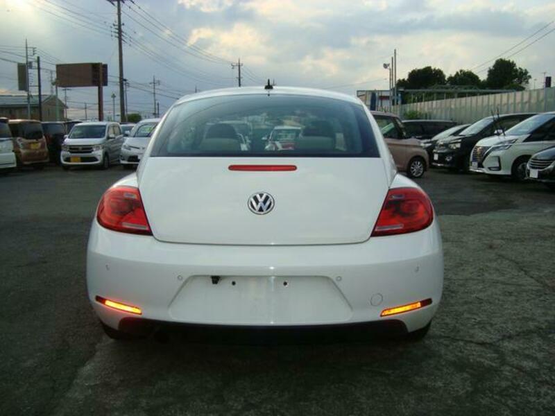 THE BEETLE