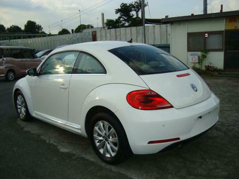 THE BEETLE