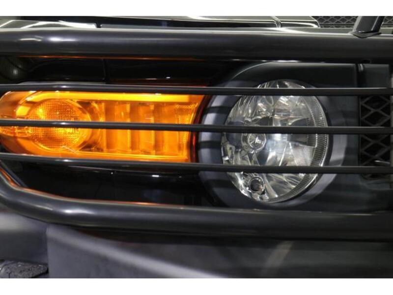 FJ CRUISER