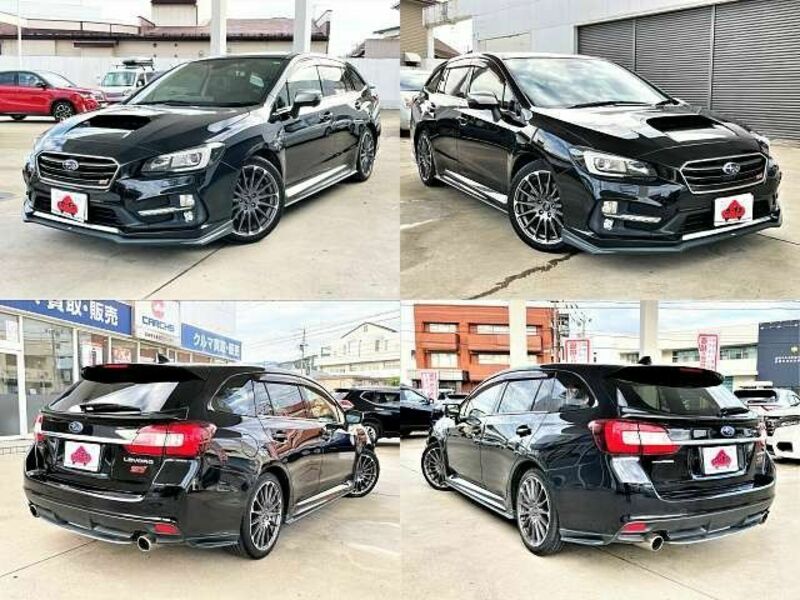 LEVORG