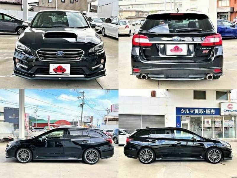 LEVORG