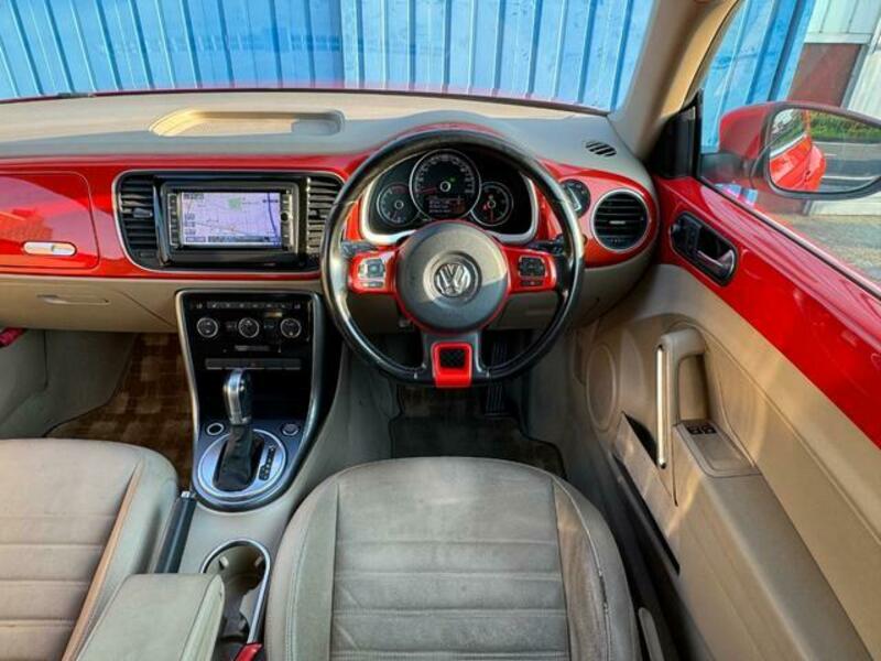 THE BEETLE