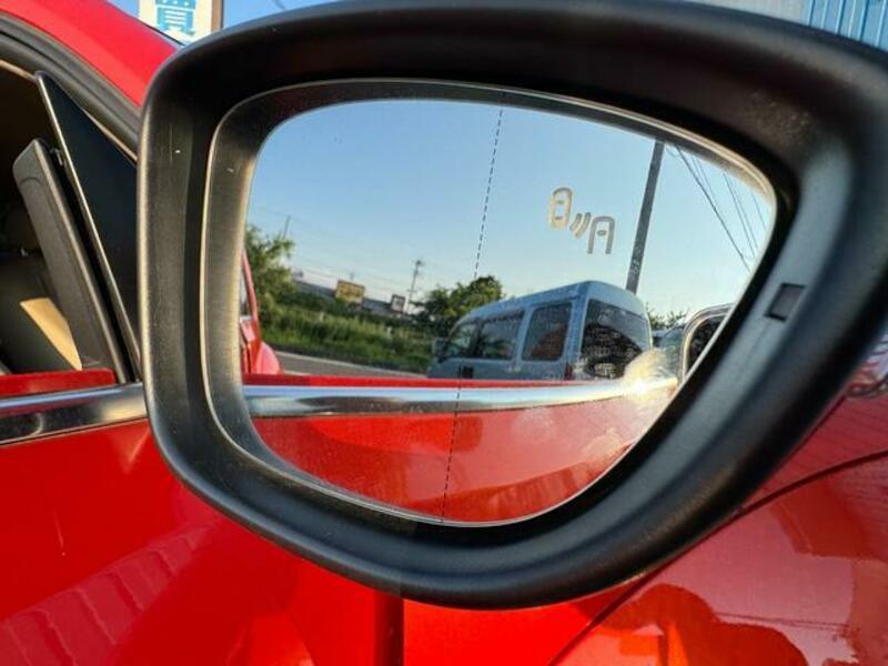 THE BEETLE