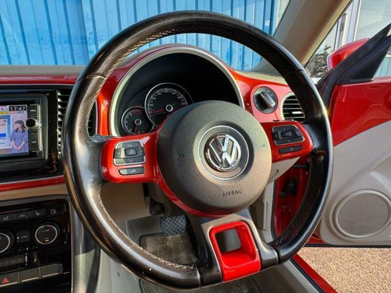 THE BEETLE