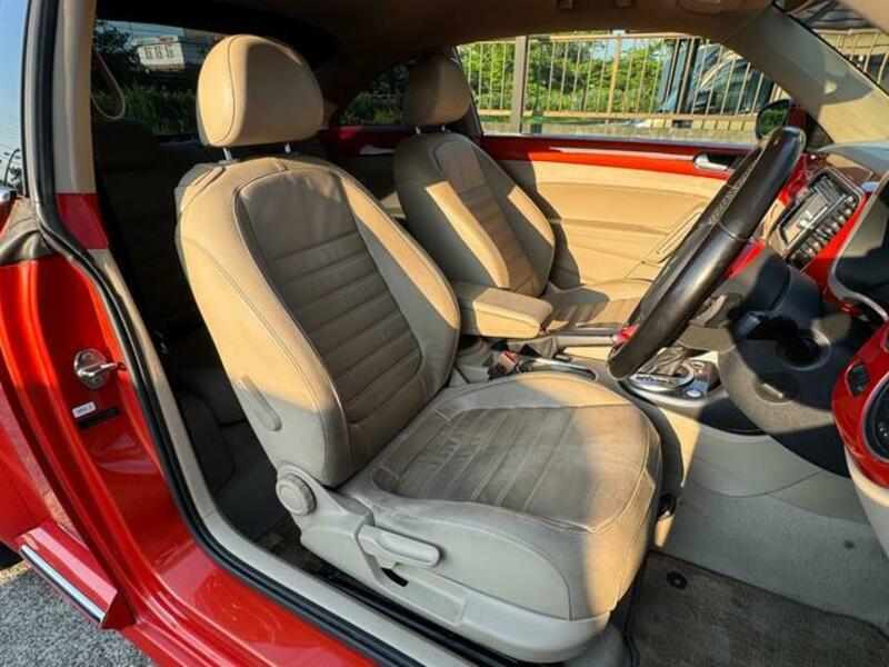 THE BEETLE