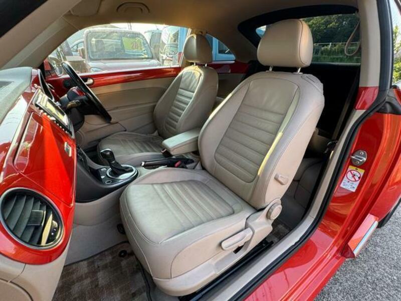 THE BEETLE