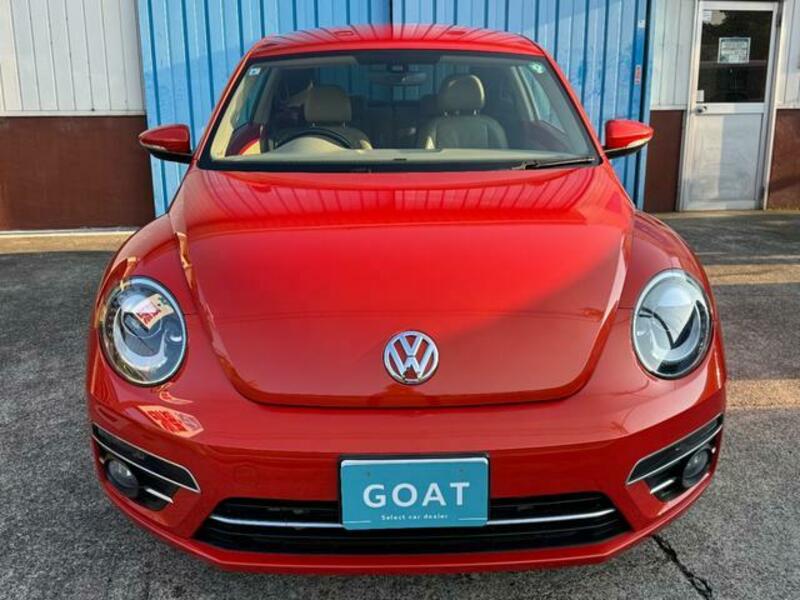 THE BEETLE