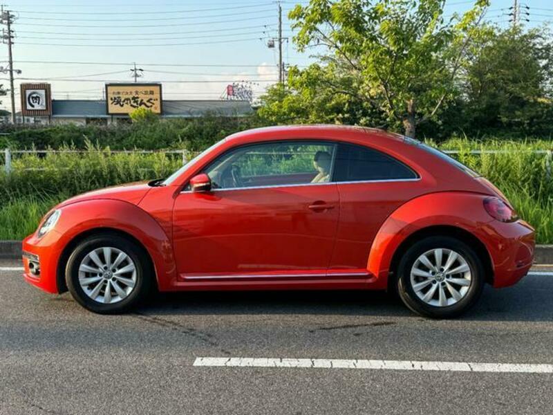 THE BEETLE