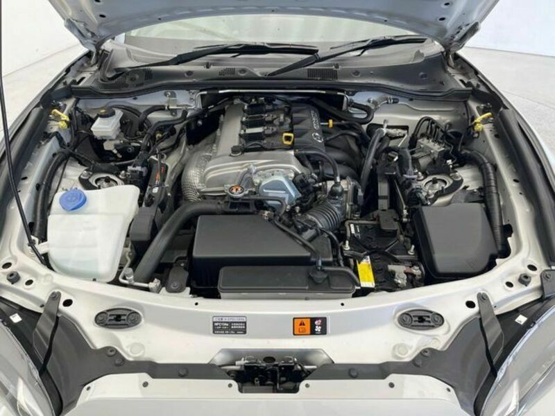 ROADSTER RF
