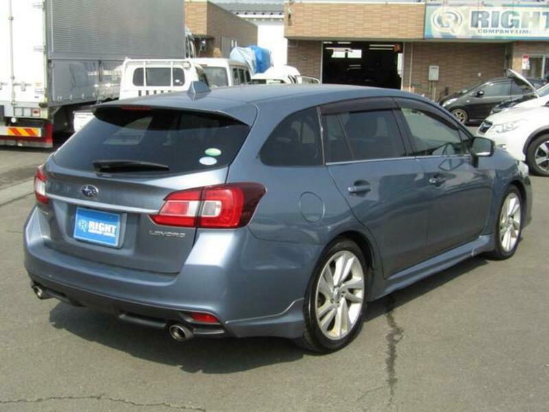 LEVORG
