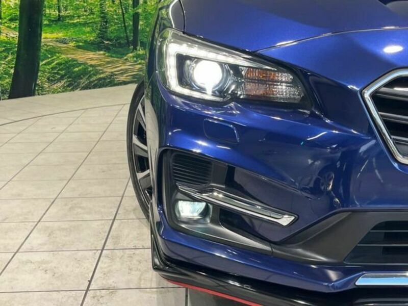 LEVORG
