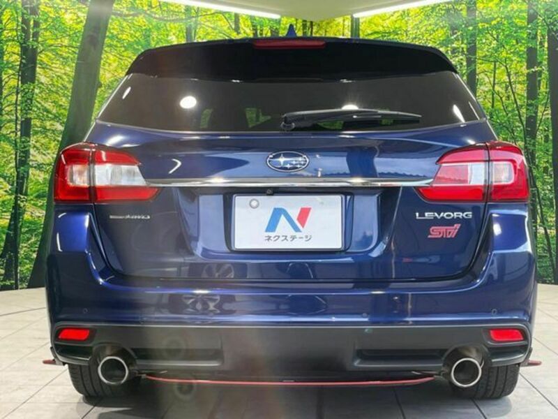 LEVORG