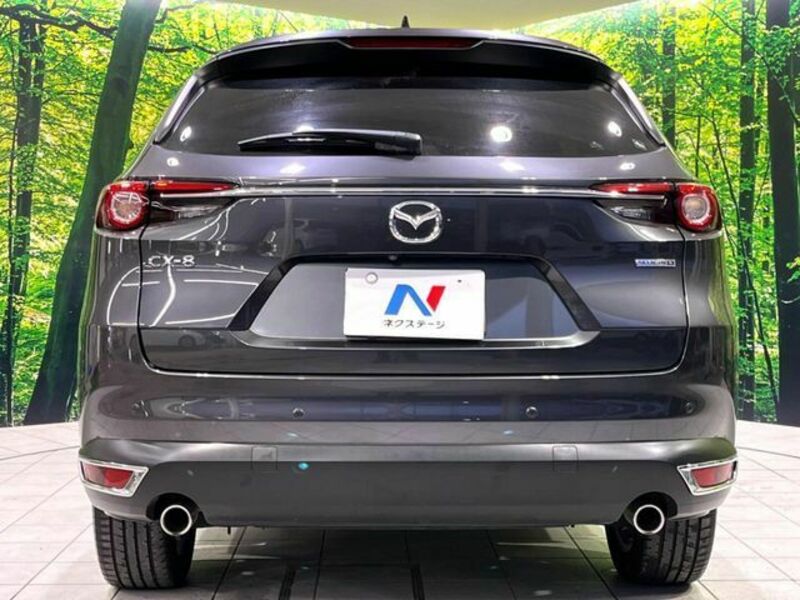 CX-8