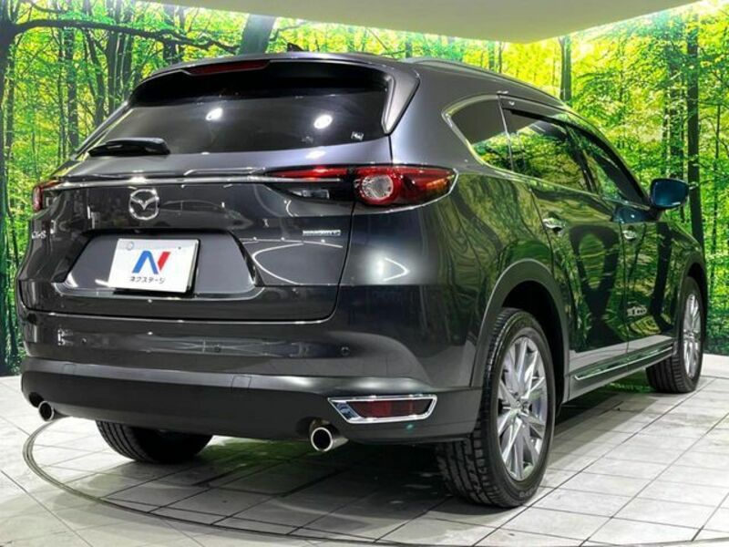 CX-8