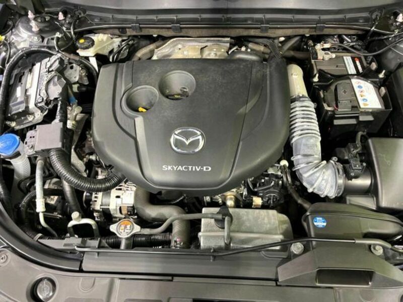 CX-8