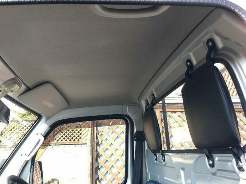 CARRY TRUCK