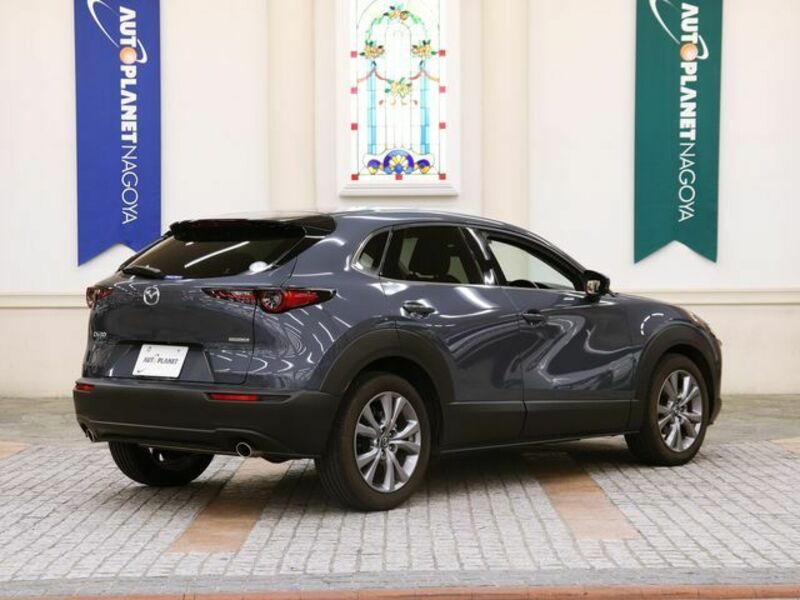CX-30