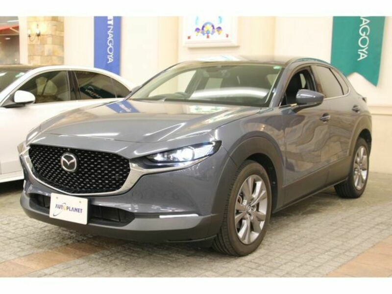 CX-30
