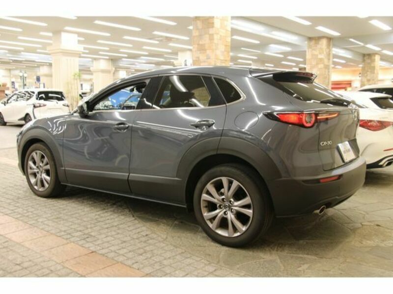 CX-30