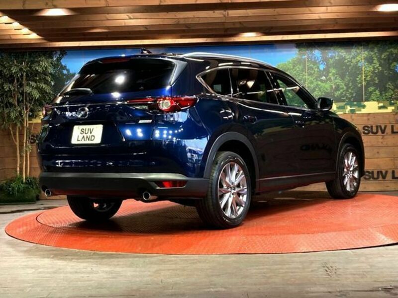 CX-8