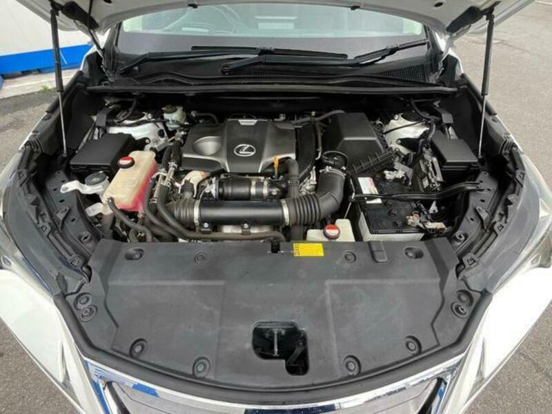 NX