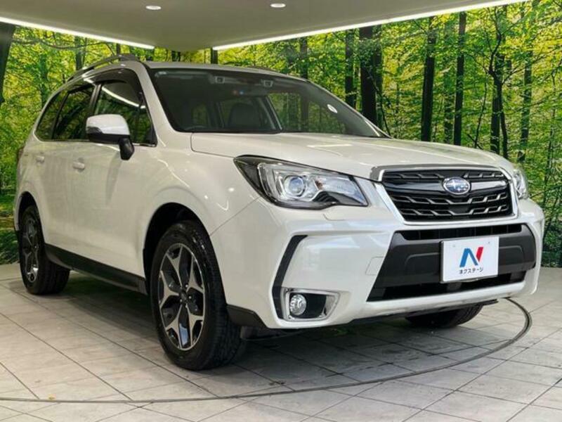 FORESTER