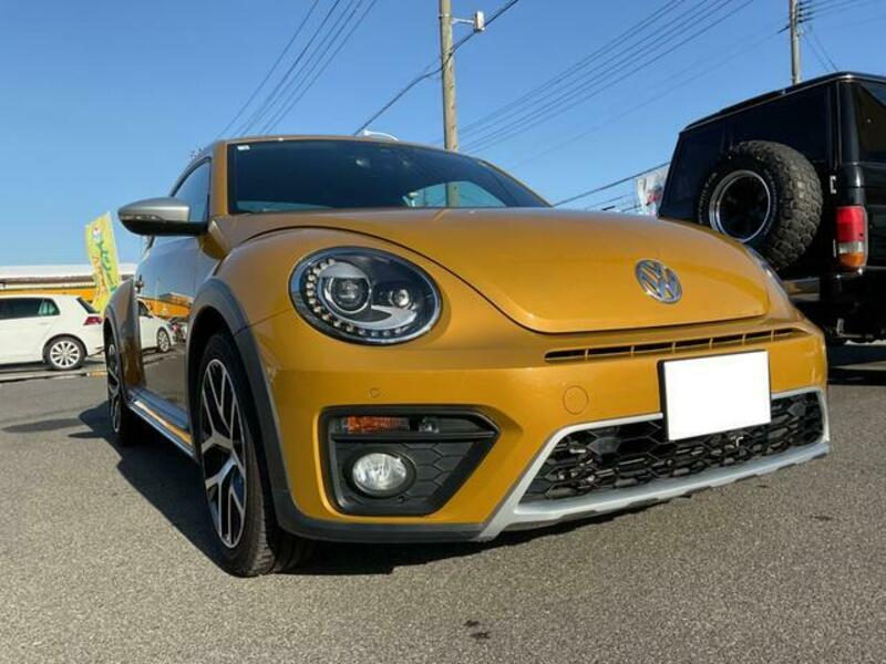 THE BEETLE