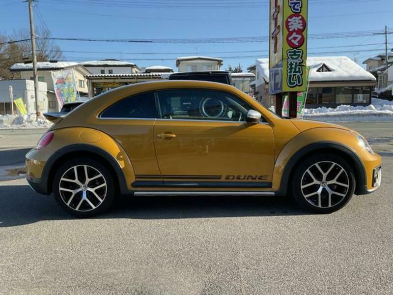 THE BEETLE