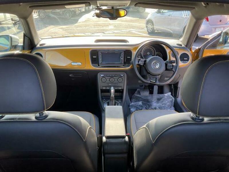 THE BEETLE