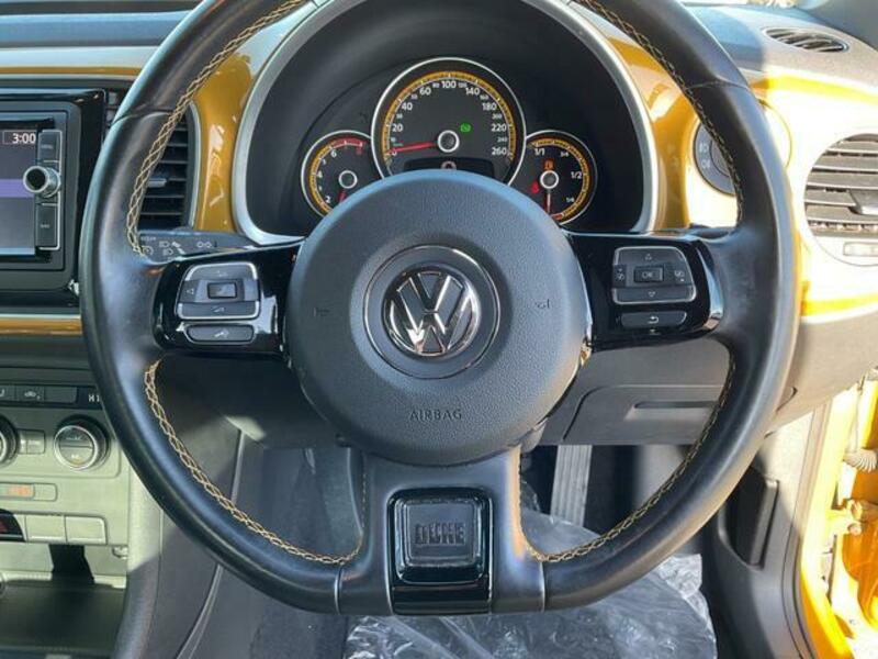 THE BEETLE