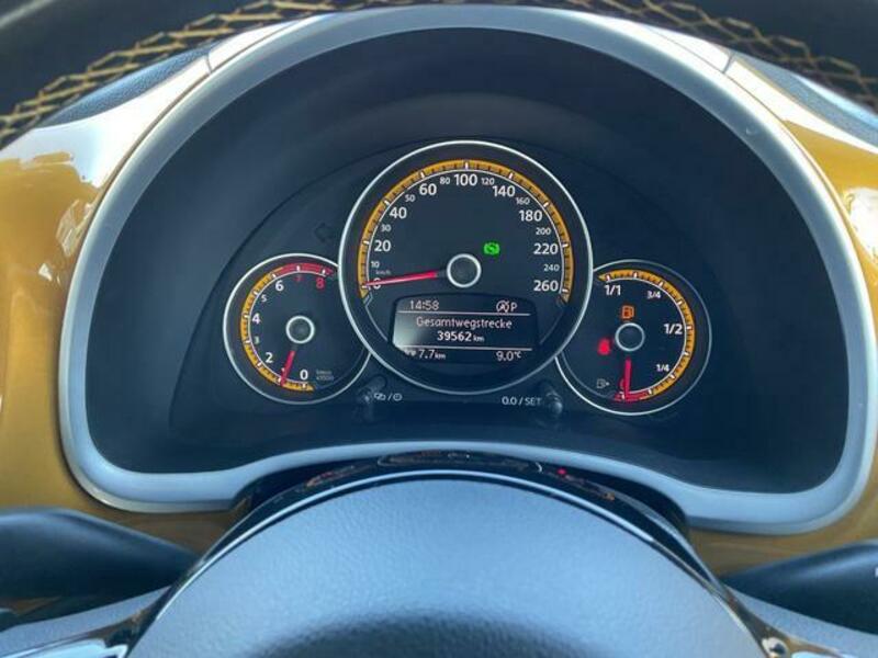 THE BEETLE