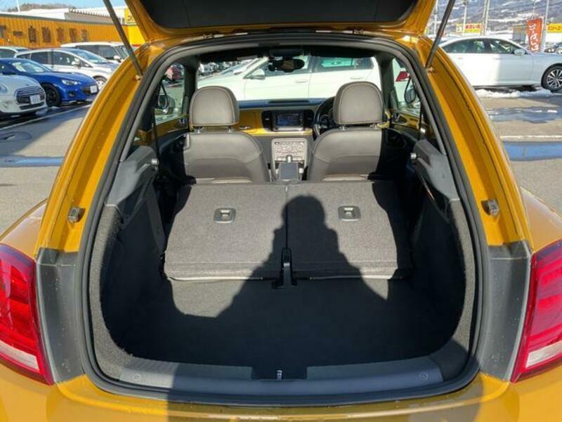 THE BEETLE