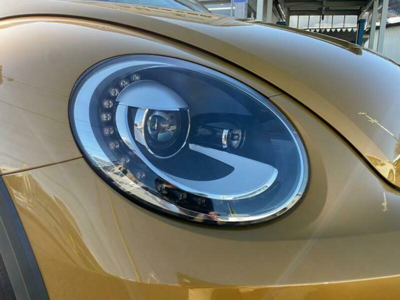 THE BEETLE