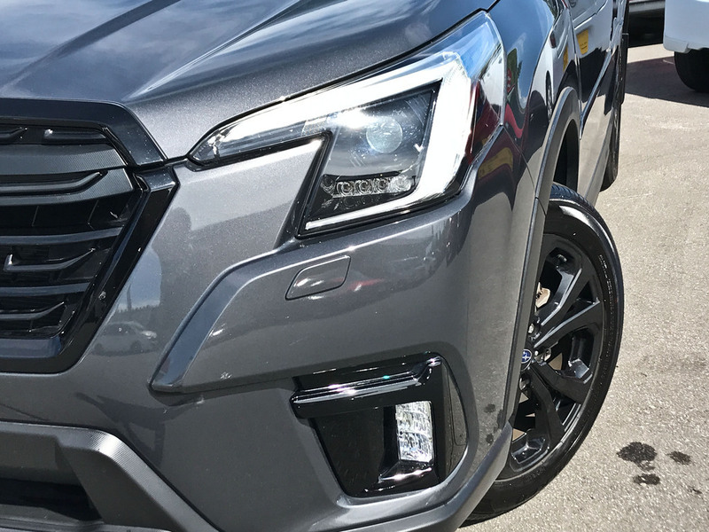 FORESTER
