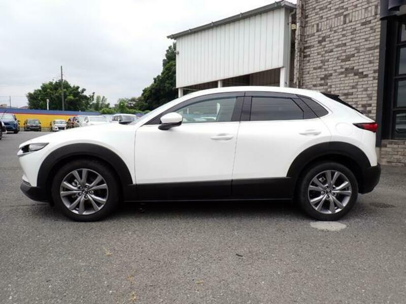 CX-30