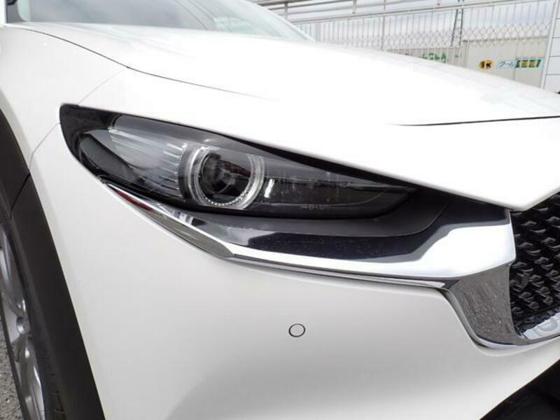 CX-30