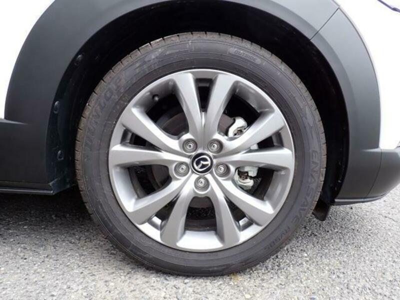 CX-30