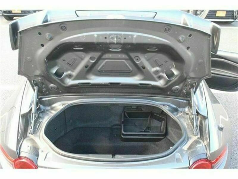 ROADSTER RF