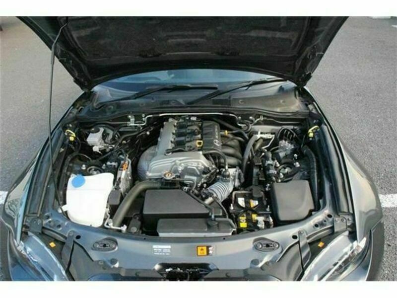 ROADSTER RF