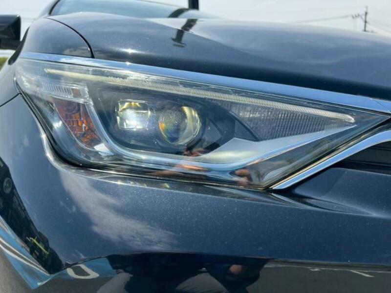 AURIS