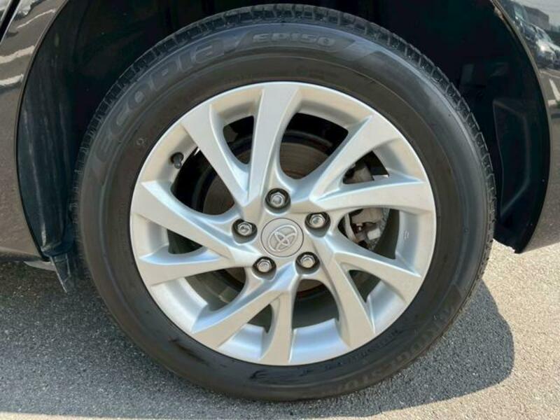 AURIS