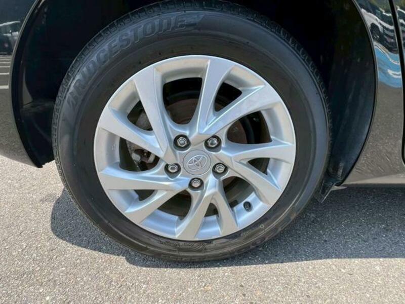 AURIS