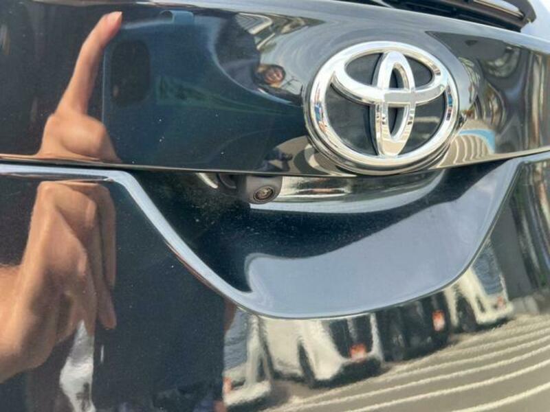 AURIS