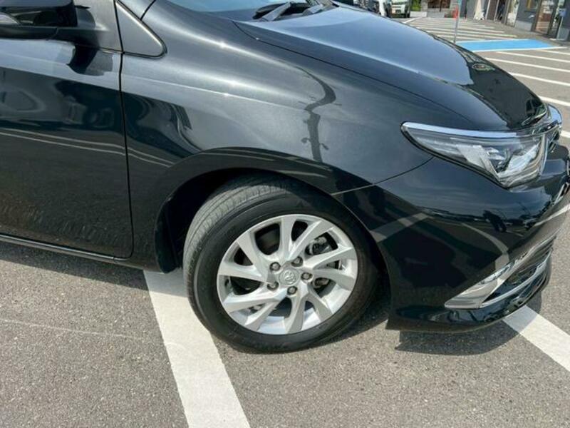 AURIS