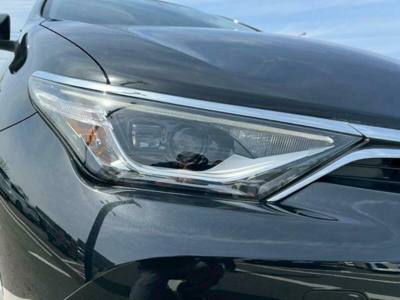 AURIS