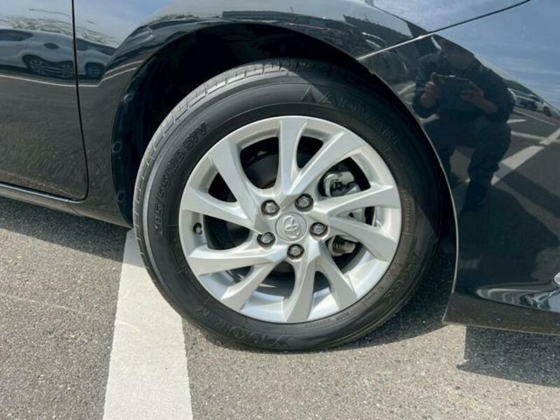 AURIS