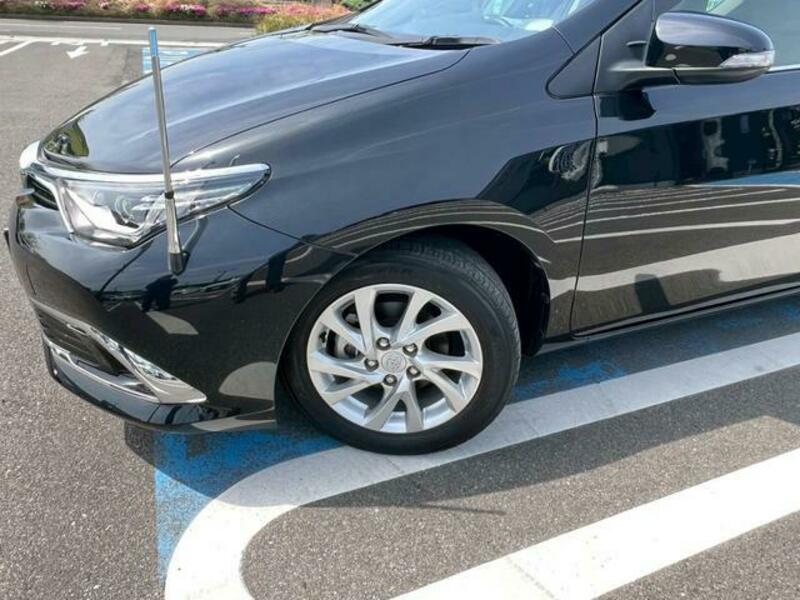 AURIS