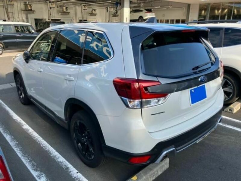 FORESTER