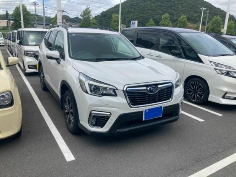 FORESTER-0