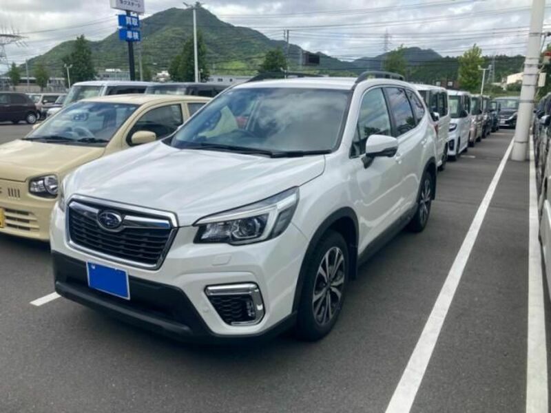 FORESTER